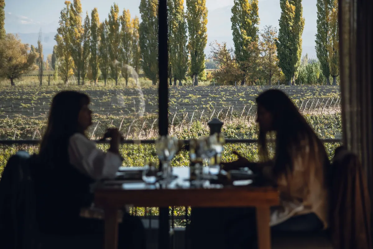 Viñedos con la cordillera de fondo en Mendoza, Argentina